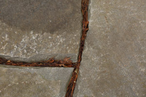 Patio_chip02_1200
