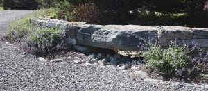 4453_Floodwall