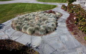 4468_gardenPath