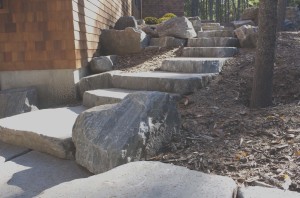 4418_Steps2
